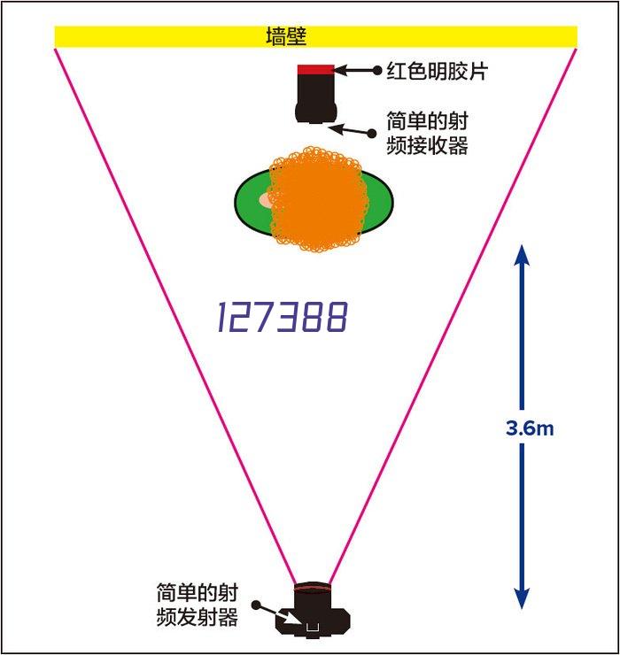 zuqiu