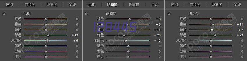 德阳西门塔尔牛销售