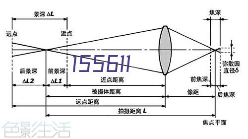 成功案例