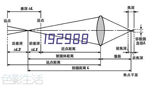 大提花类面料