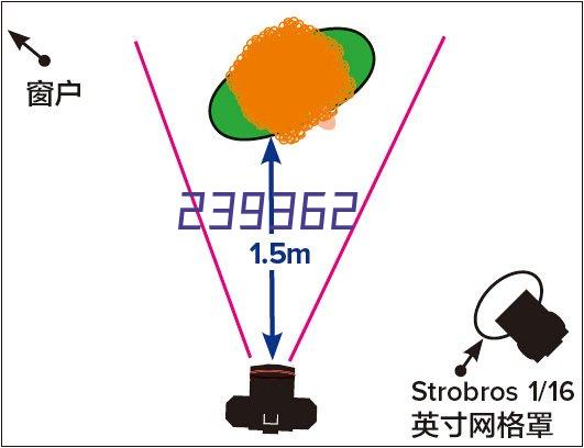 【元春一始】块块掌 黑壮壮（巧克力味酥饼）药食同源 热加工糕点