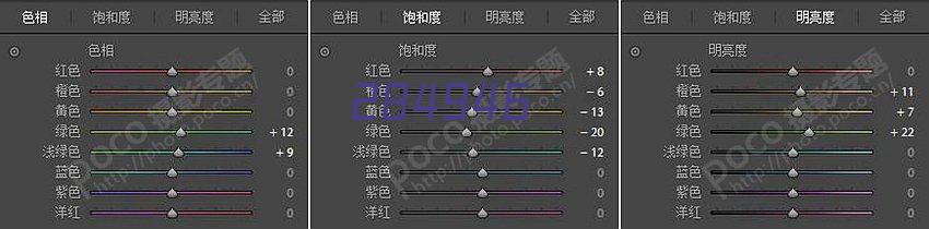 防涂鸦涂料 BOS-07