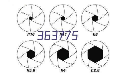 武雅斌 | 第四次工业革命数字化和绿色转型技术有助于推动包容与可持续发展目标的实...