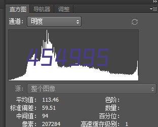 NCB系列高粘度转子泵