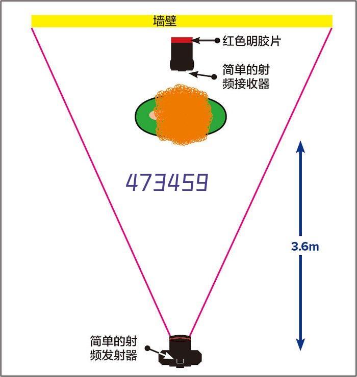 圣纳SHINGNA