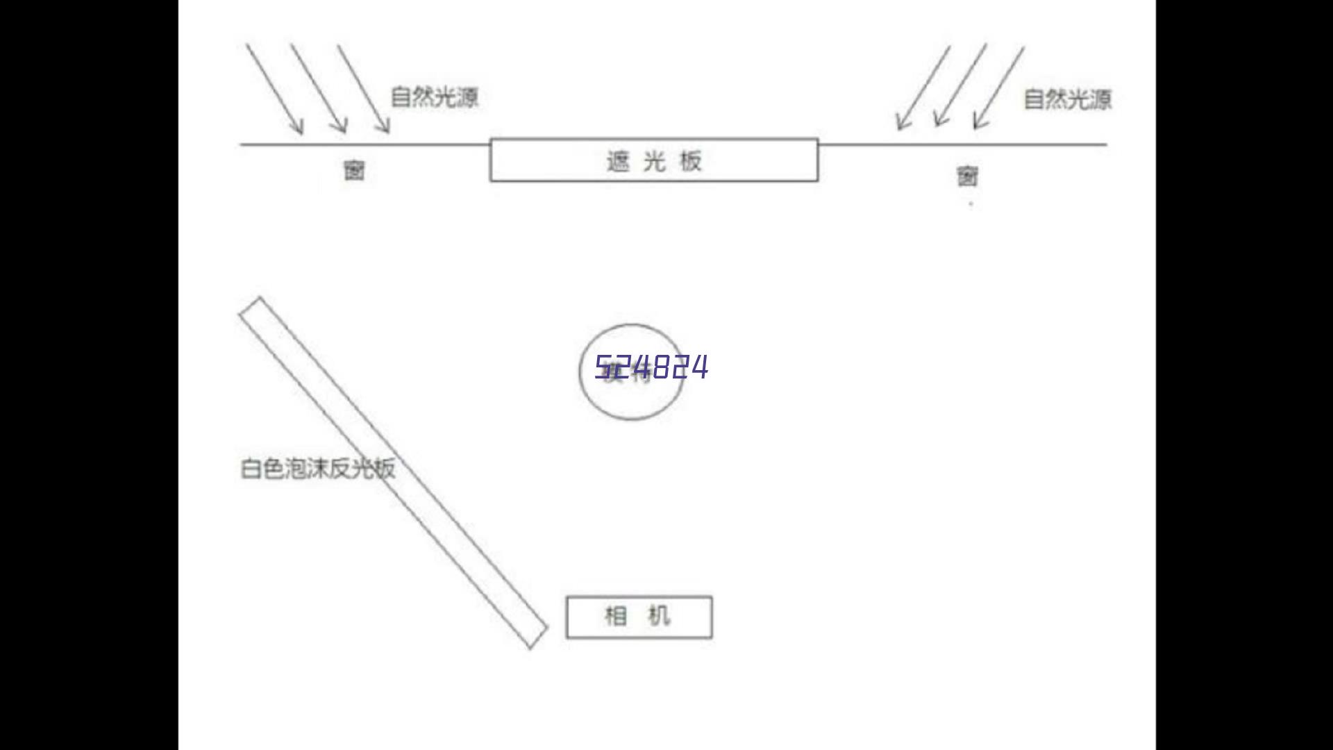 海鸥