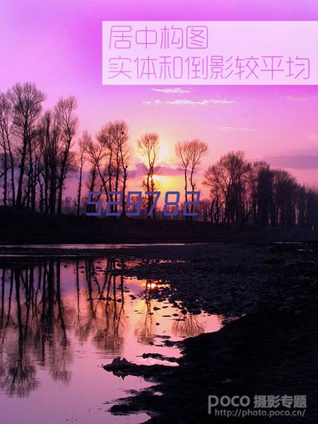 专家一