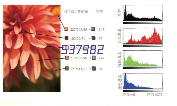 西安交大资产经营有限公司