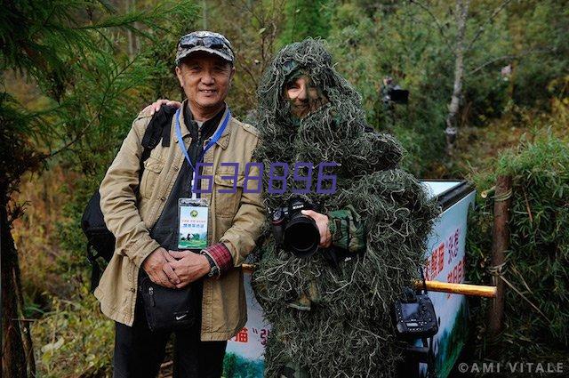 如何在秋季进行高效的桥梁伸缩缝管养，两款新型养护材料推荐给您！