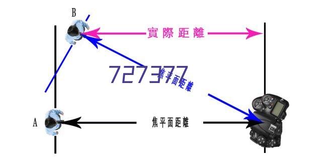 四川西门塔尔牛批发客户见证