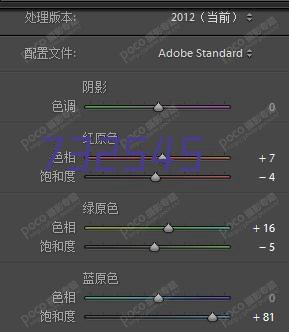 波特兰伐木工后备队