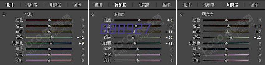 思递科技发展（重庆）有限公司