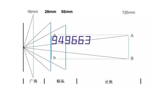 交流互鉴，携手共进促发展--广州港船务有限公司...