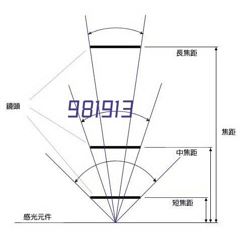 习近平会见巴西副总统阿尔克明